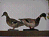 parba-25.JPG