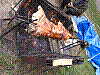 parba-31.JPG