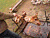 parba-46.JPG
